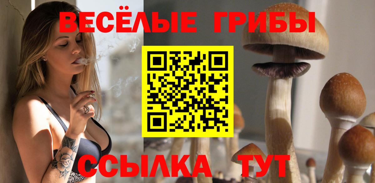 Псилоцибиновые грибы Psilocybe Полевской